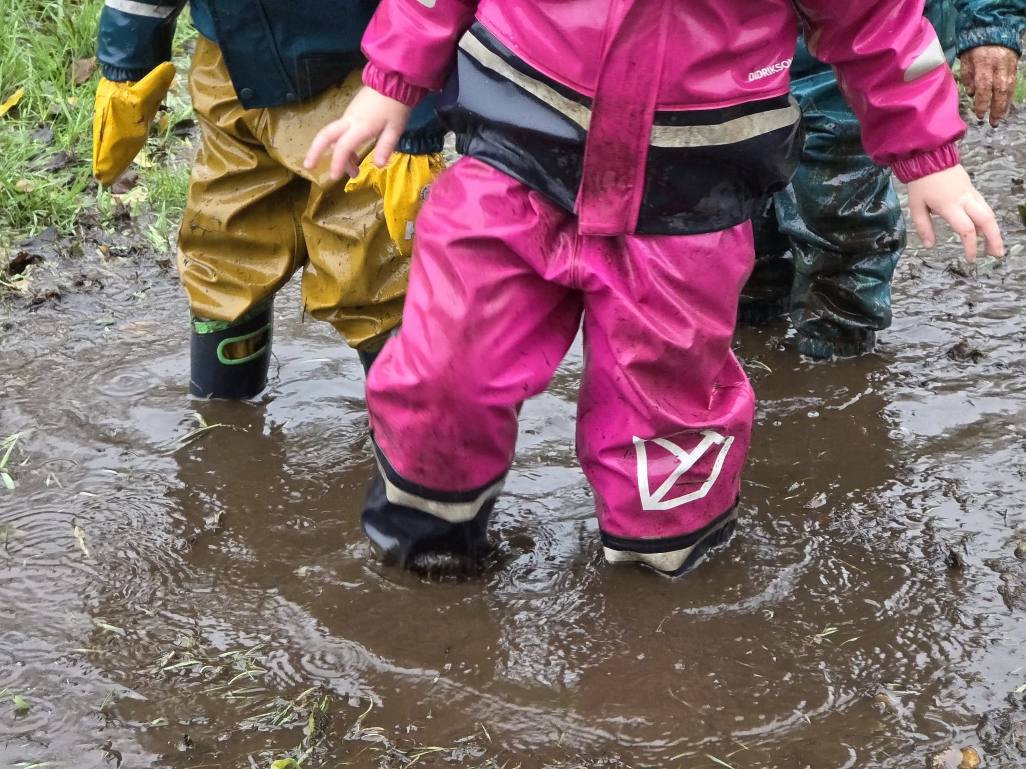 Outdoor-based / nature school / forest school